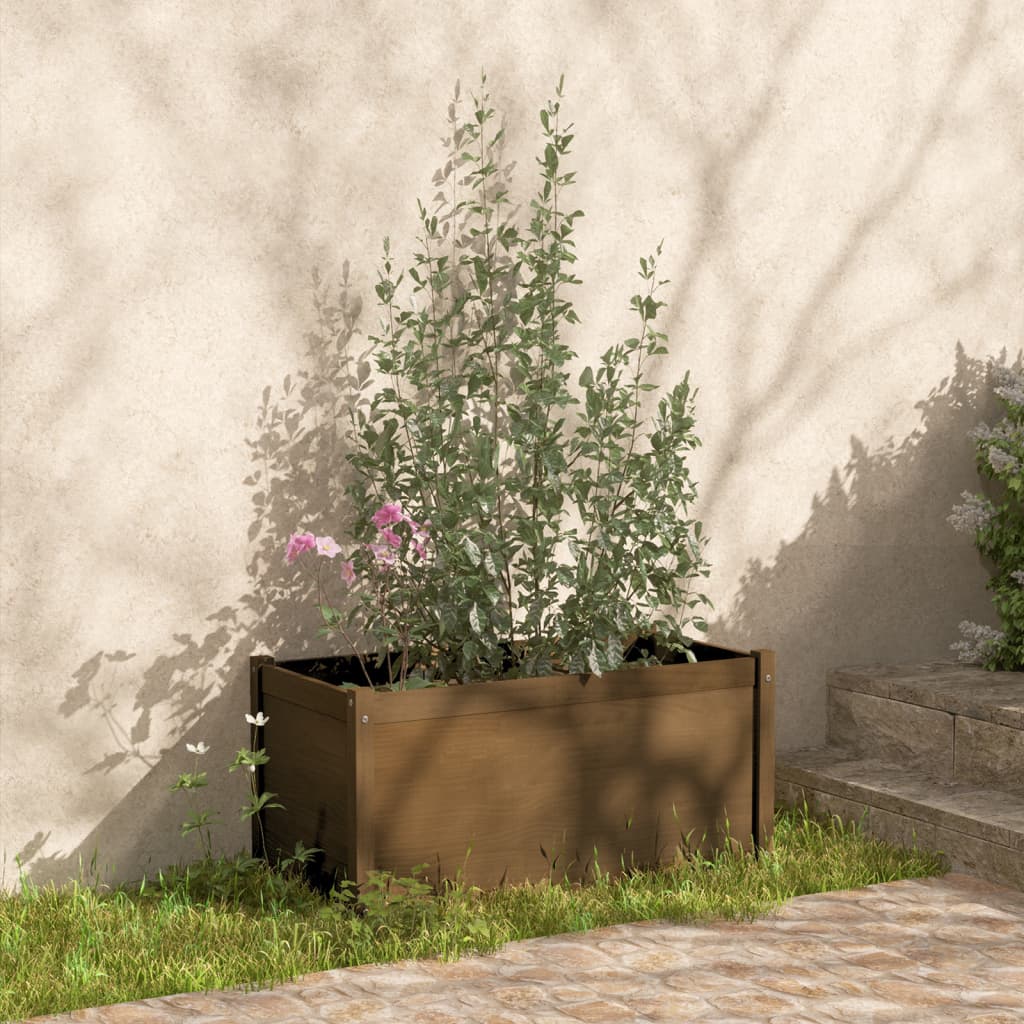 Vidaxl fioriere 2 St 100x50x50 cm Miele di pino solido marrone