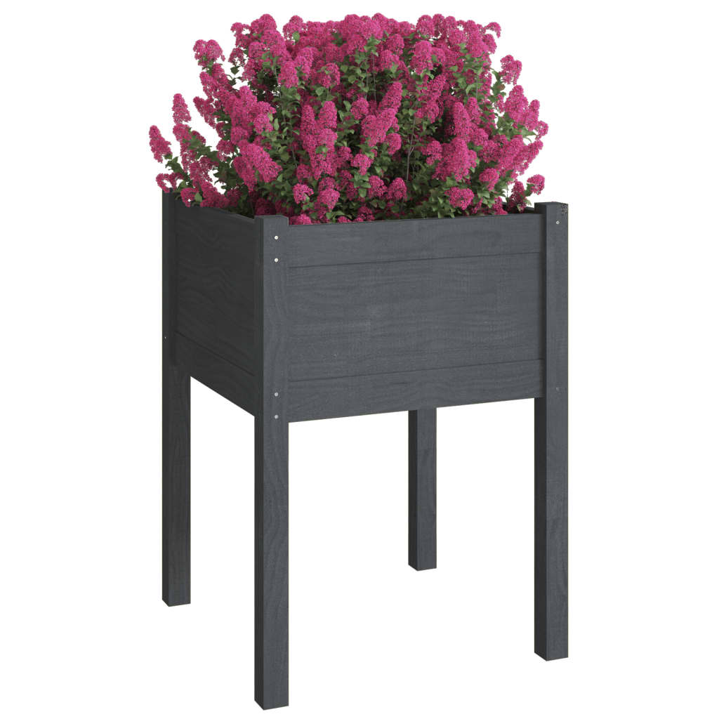 Casella di pianificazione Vidaxl 50x50x70 cm Pine grigio