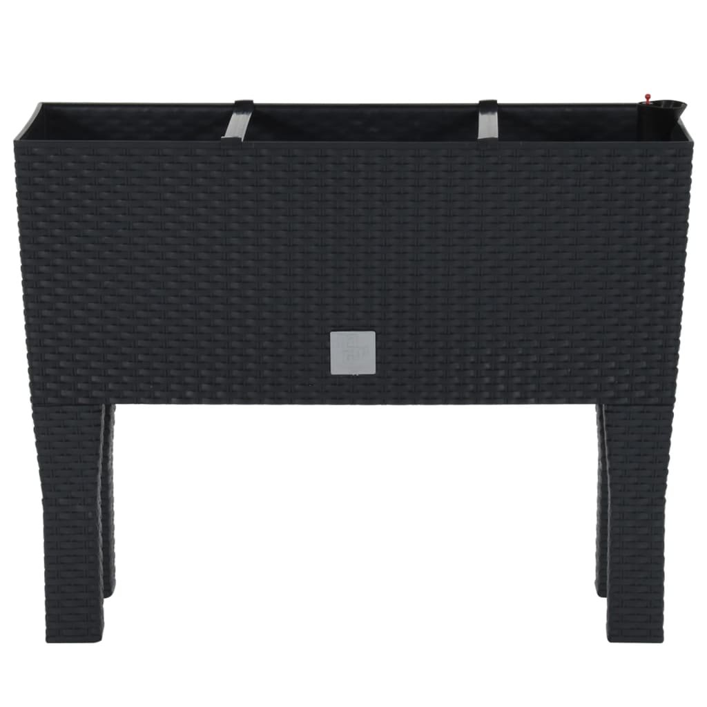 Plantador Vidaxl elevado 60x25x46 cm pp rattan antracita