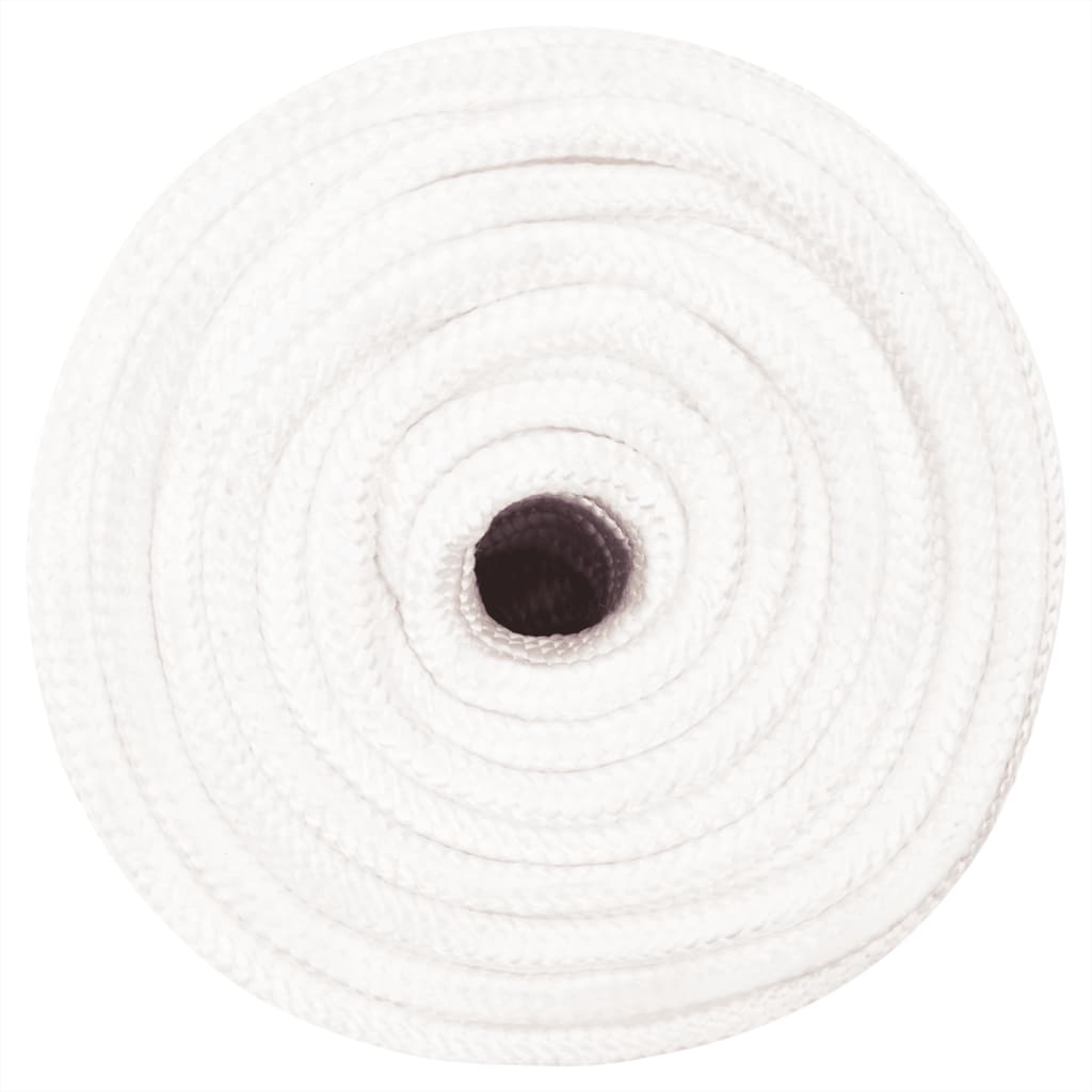 Vidaxl Boat Rope 12 mm 250 m polipropileno blanco completo