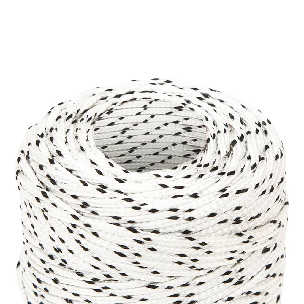 Vidaxl boottouw gevlochten 2 mmx100 m polyester wit