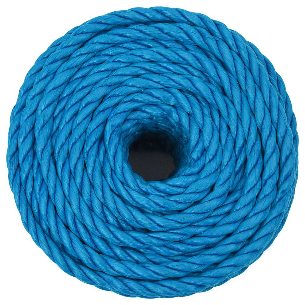 Vidaxl Werkouw 10 mm 50 m blu polipropene