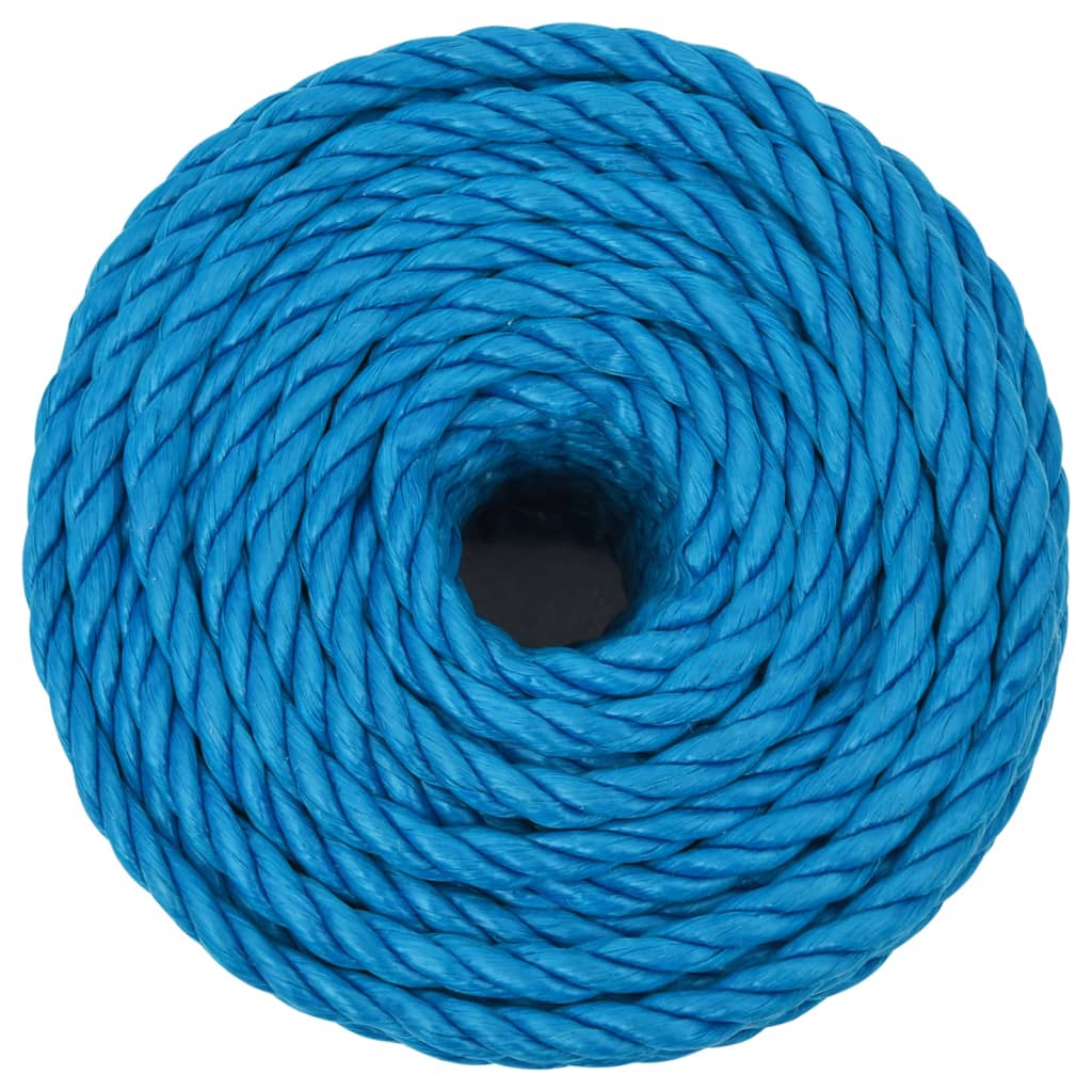 Vidaxl Werkouw 20 mm 100 m polipropeno azul