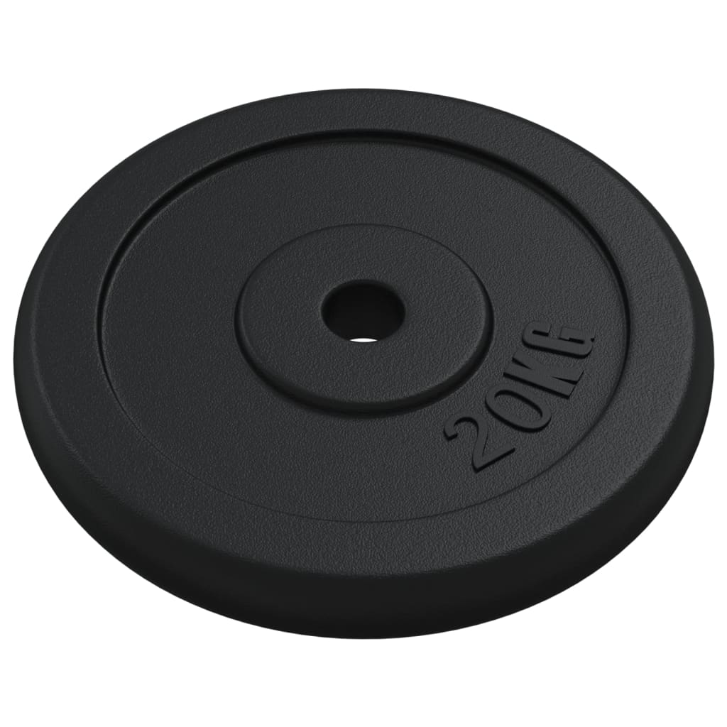 Vidaxl Halter disco da 20 kg in ghisa