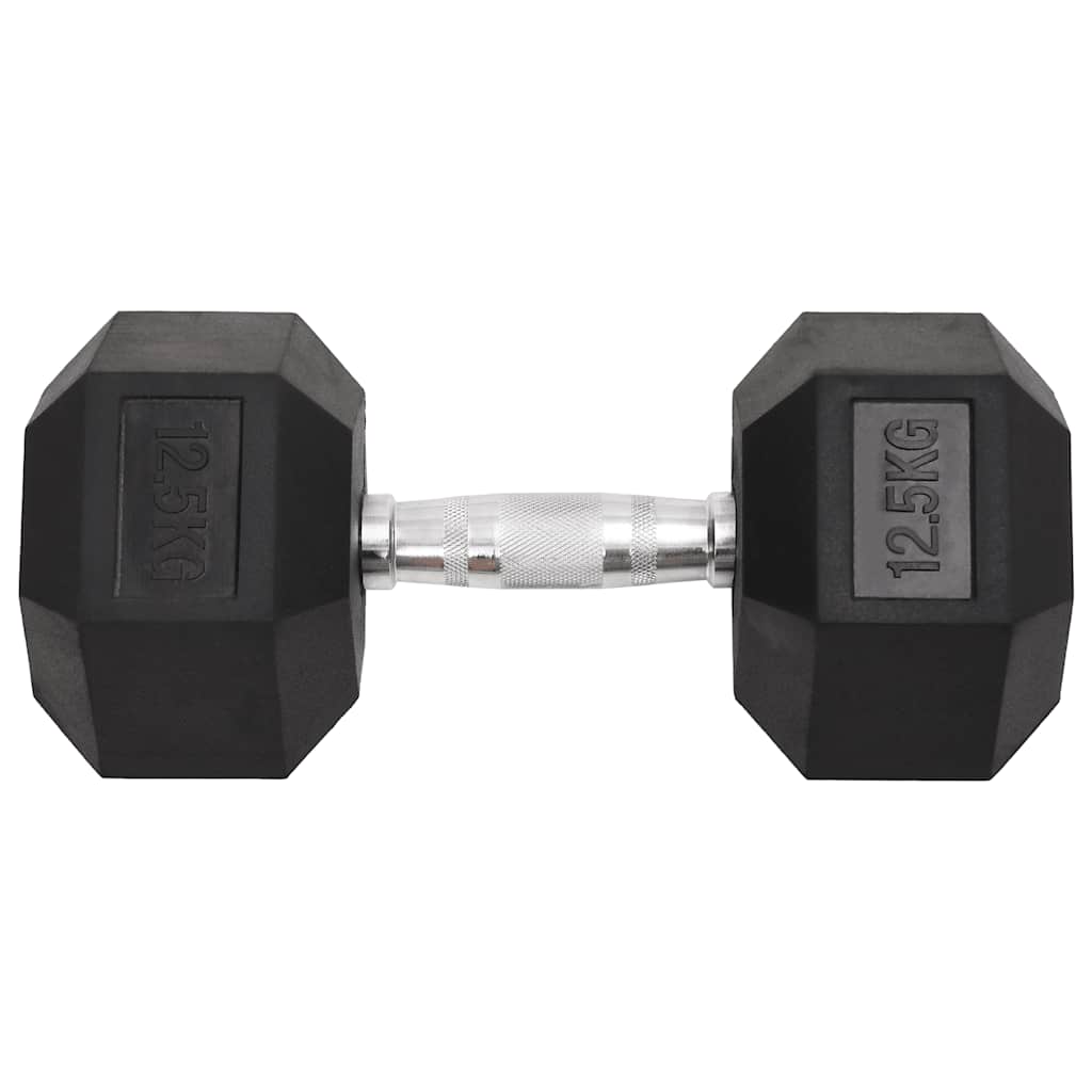 Vidaxl Halters 2 ST 25 kg in ghisa