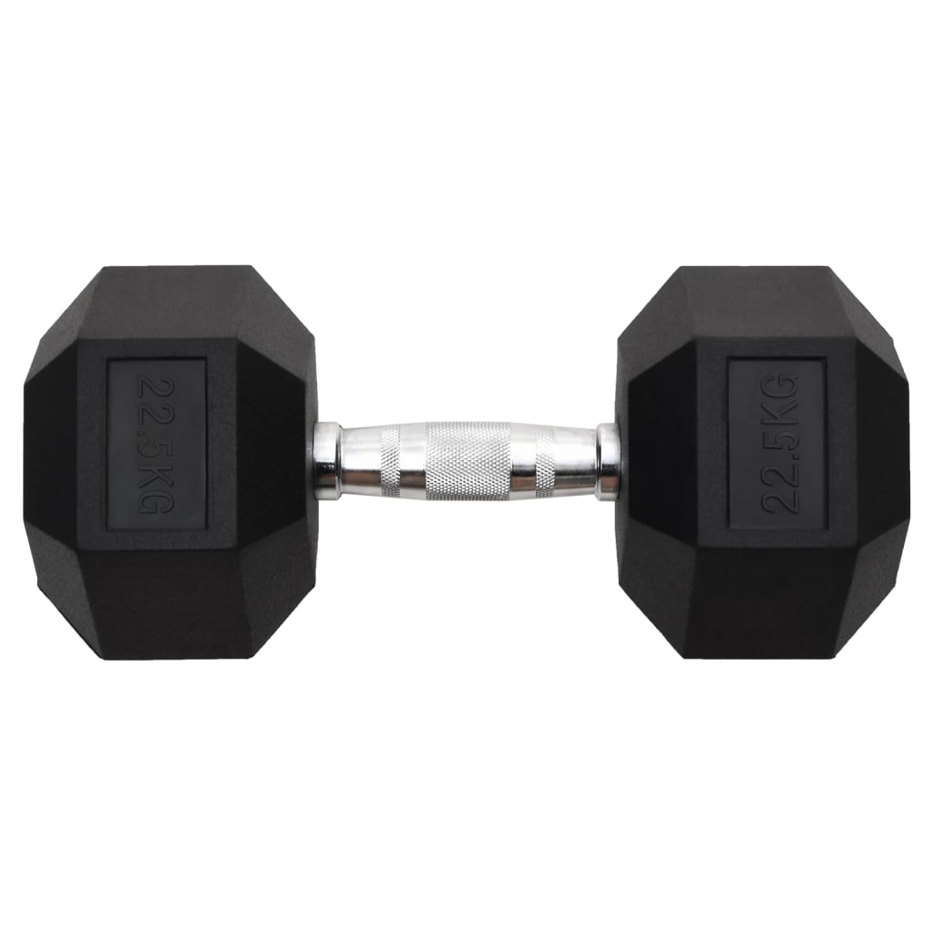 Vidaxl Halters 22,5 kg di ghisa