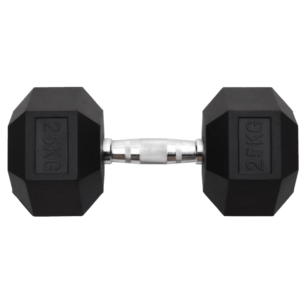 Vidaxl Halters 25 kg di ghisa