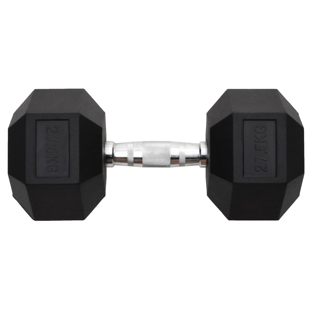 Vidaxl halters 27,5 kg gietijzer