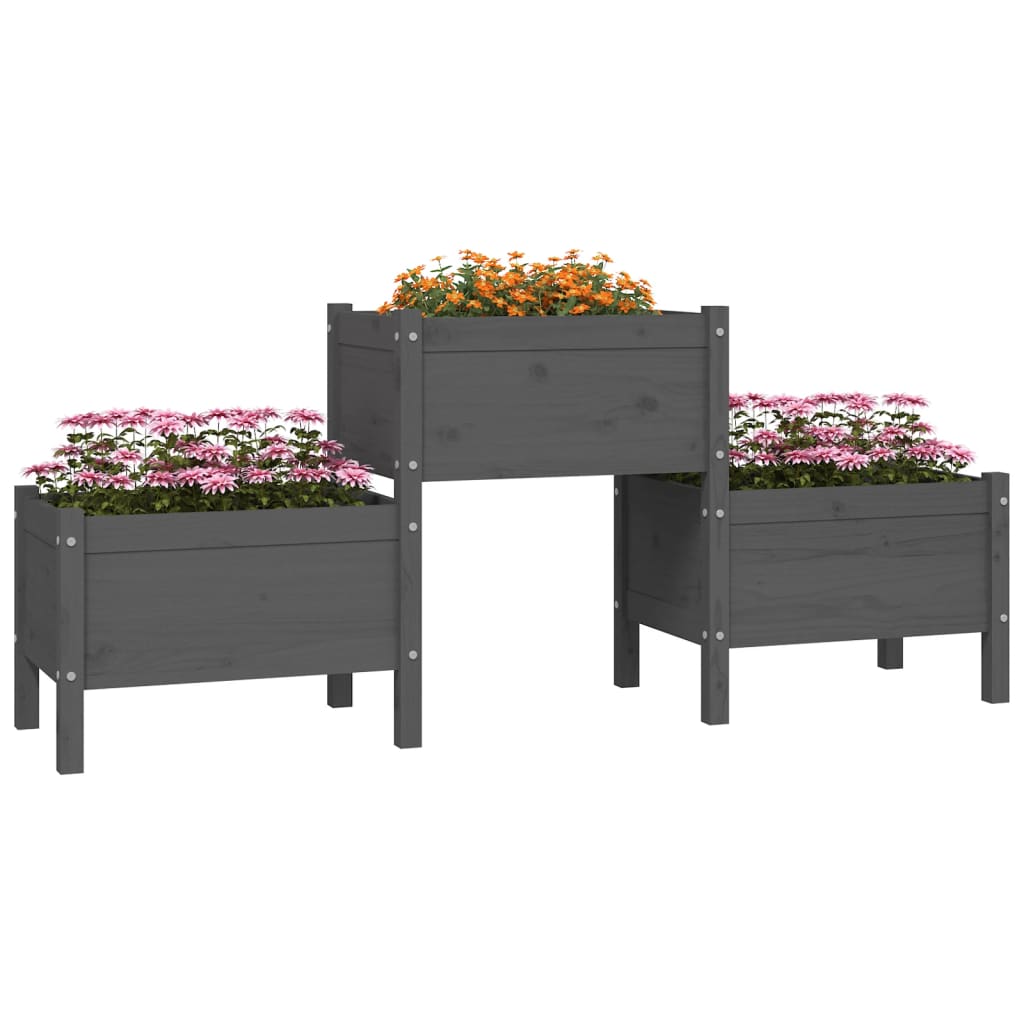 Casella di pianificazione Vidaxl 178.5x44x75 cm Pin grigio