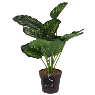 Decoraciones de mica decoraciones de mica planta de arte calathea en maceta verde 40 cm
