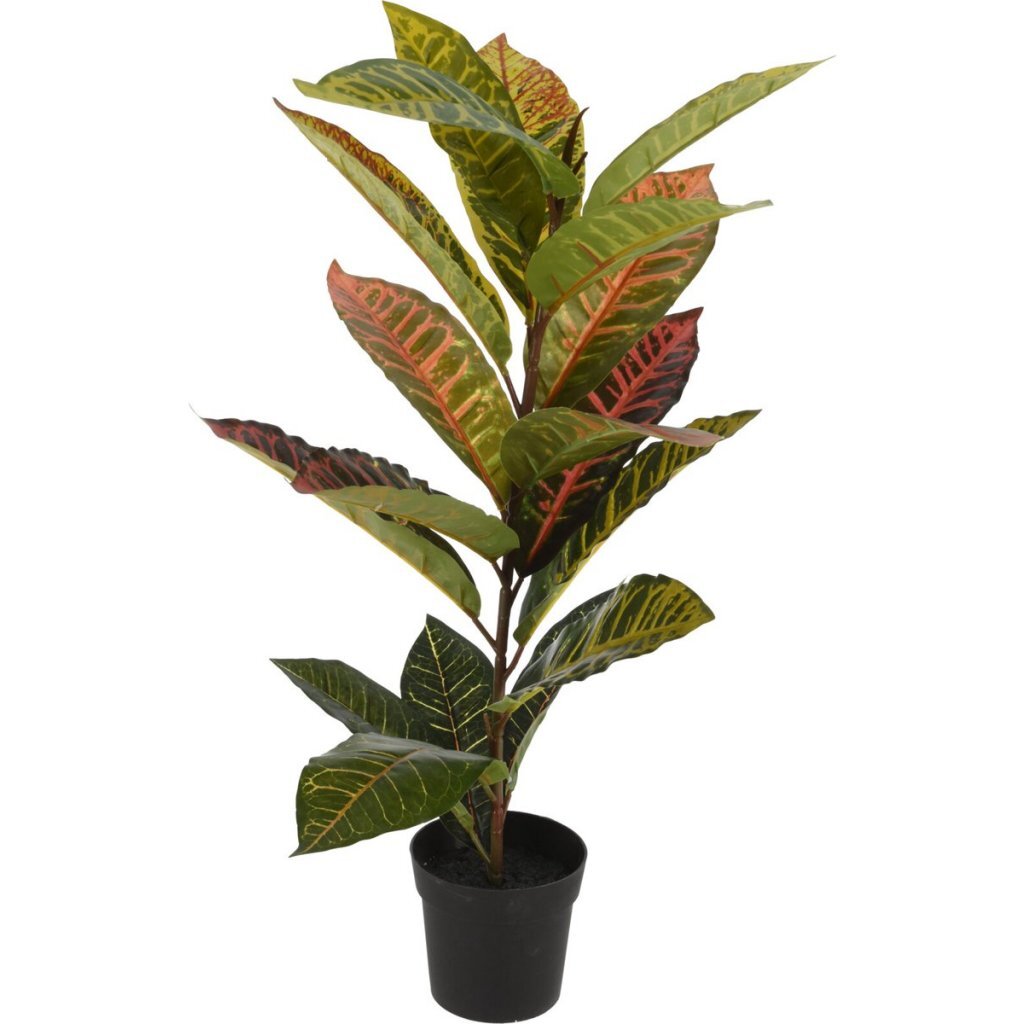 Pianta artificiale calathea altre marche 40x65 cm verde rosa