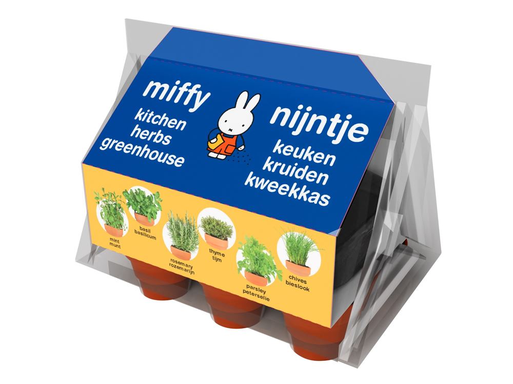 Miffy mini serra di erbe da cucina.
