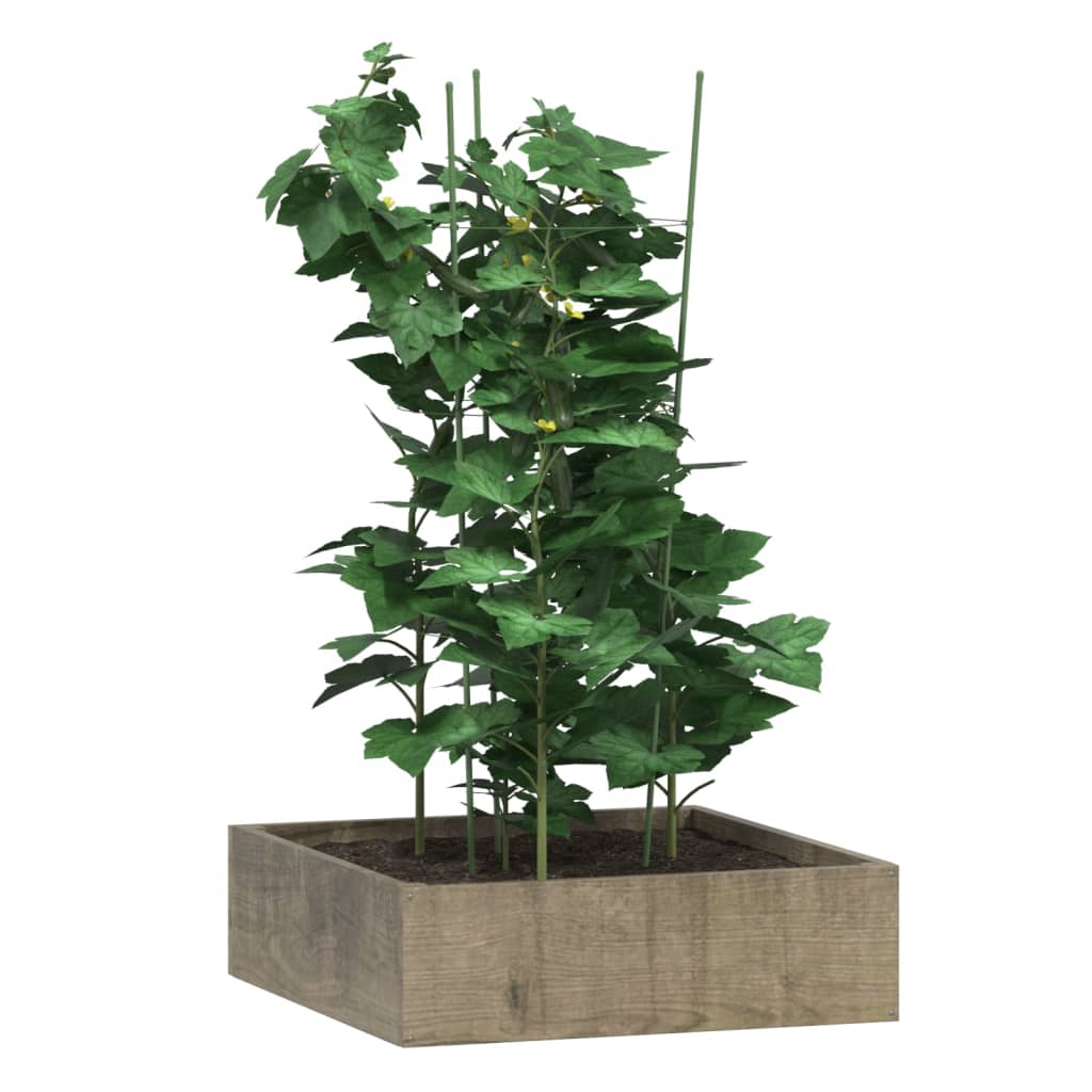 Vidaxl Plantrests 5 ST con 3 anelli da 75 cm in acciaio verde