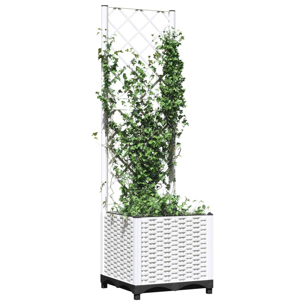 Vidaxl fioriera con polipropene Latwerk 40x40x136 cm