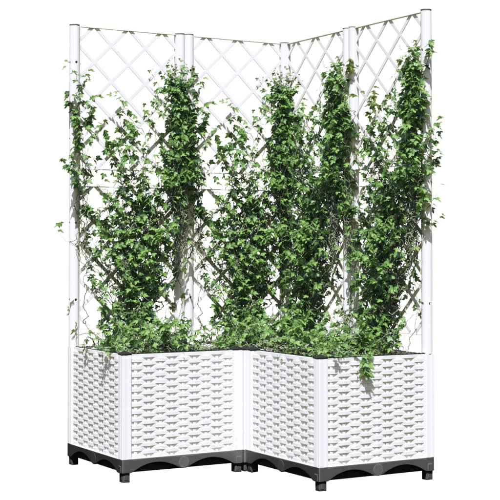 Plantador Vidaxl con latwerk 80x80x136 cm Polypropene White