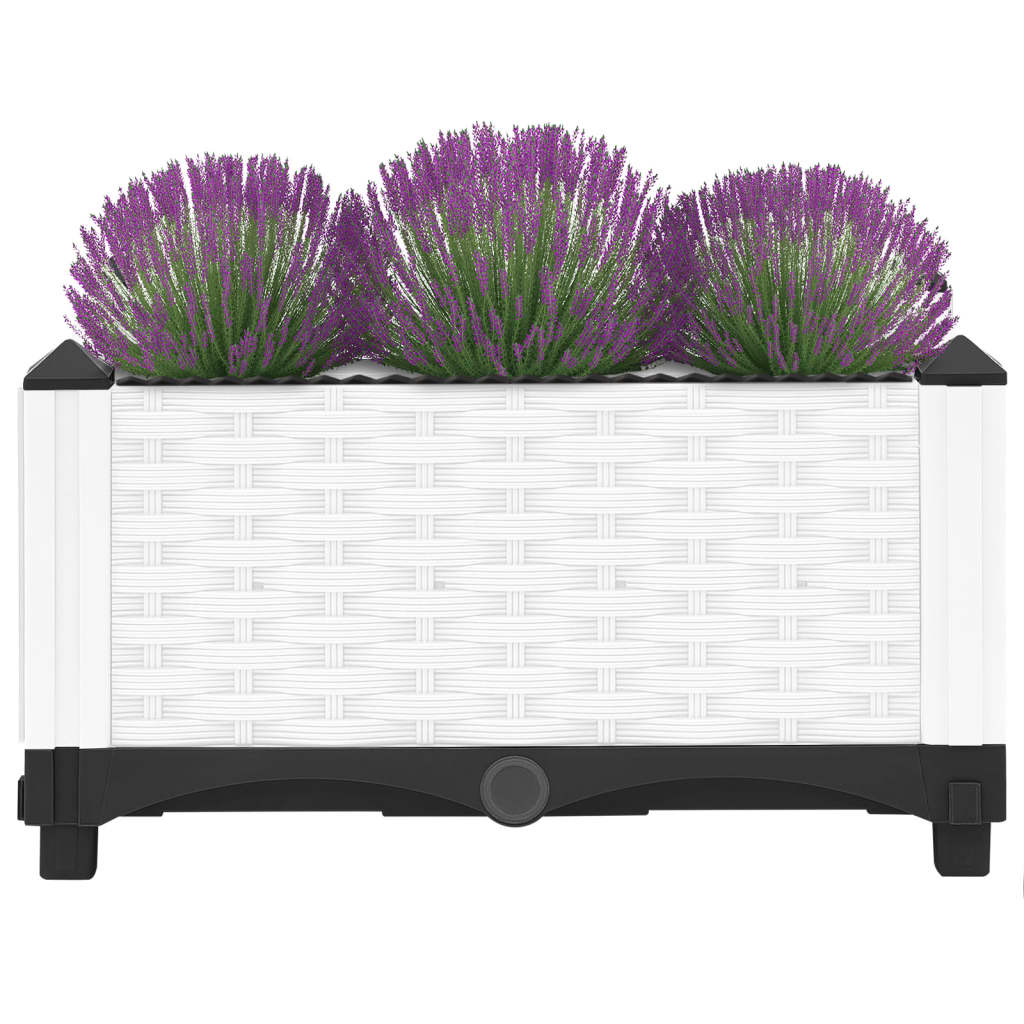 Vidaxl Planter elevado 40x40x23 cm polipropeno