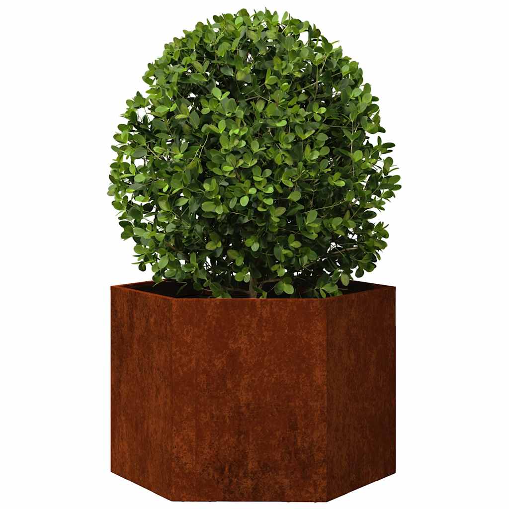 Vidaxl Plannet Rusty 60x60x45 cm acciaio corn