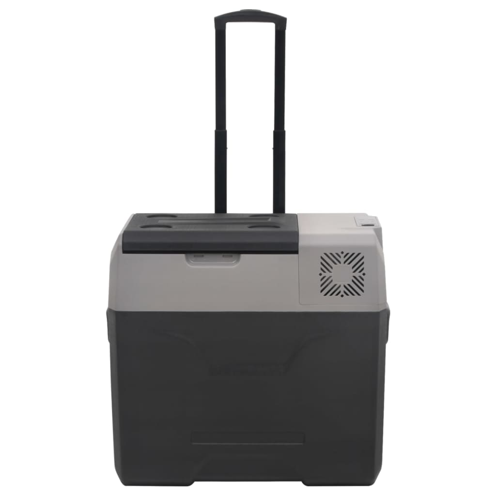 Vidaxl Cool Box con ruote e maniglia da 30 l polipropene nero e grigio