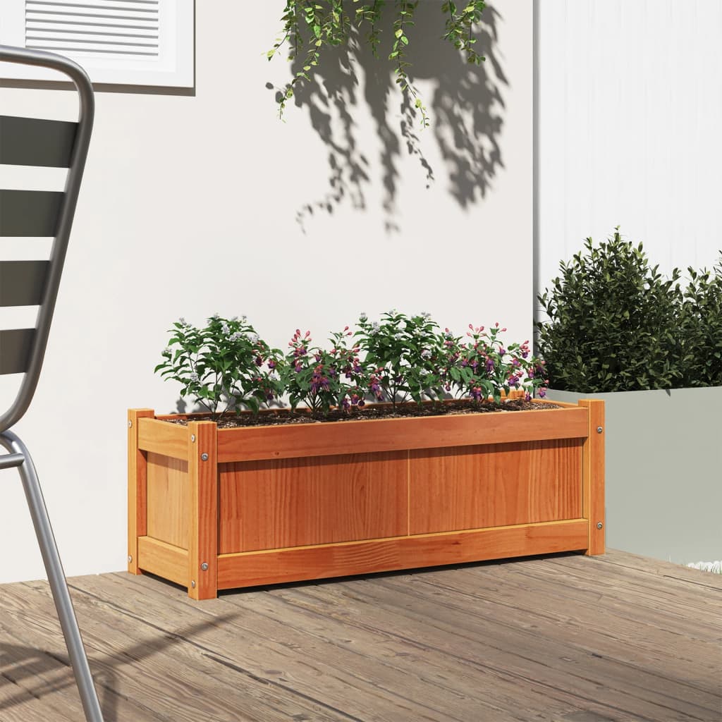 Casella di pianificazione Vidaxl 90x31x31 cm Basco di pino solido marrone
