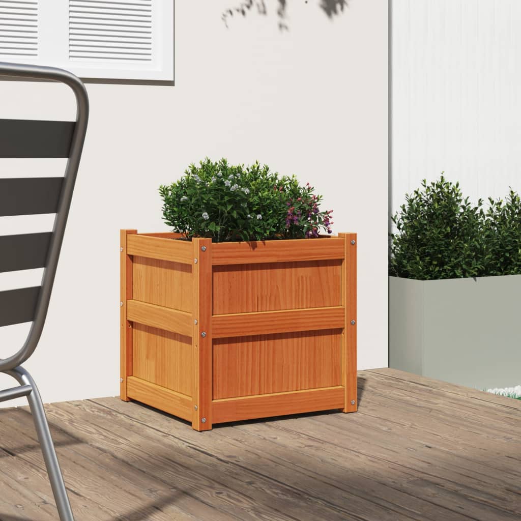 Fioriera Vidaxl 50x50x50 cm Pinna solido marrone