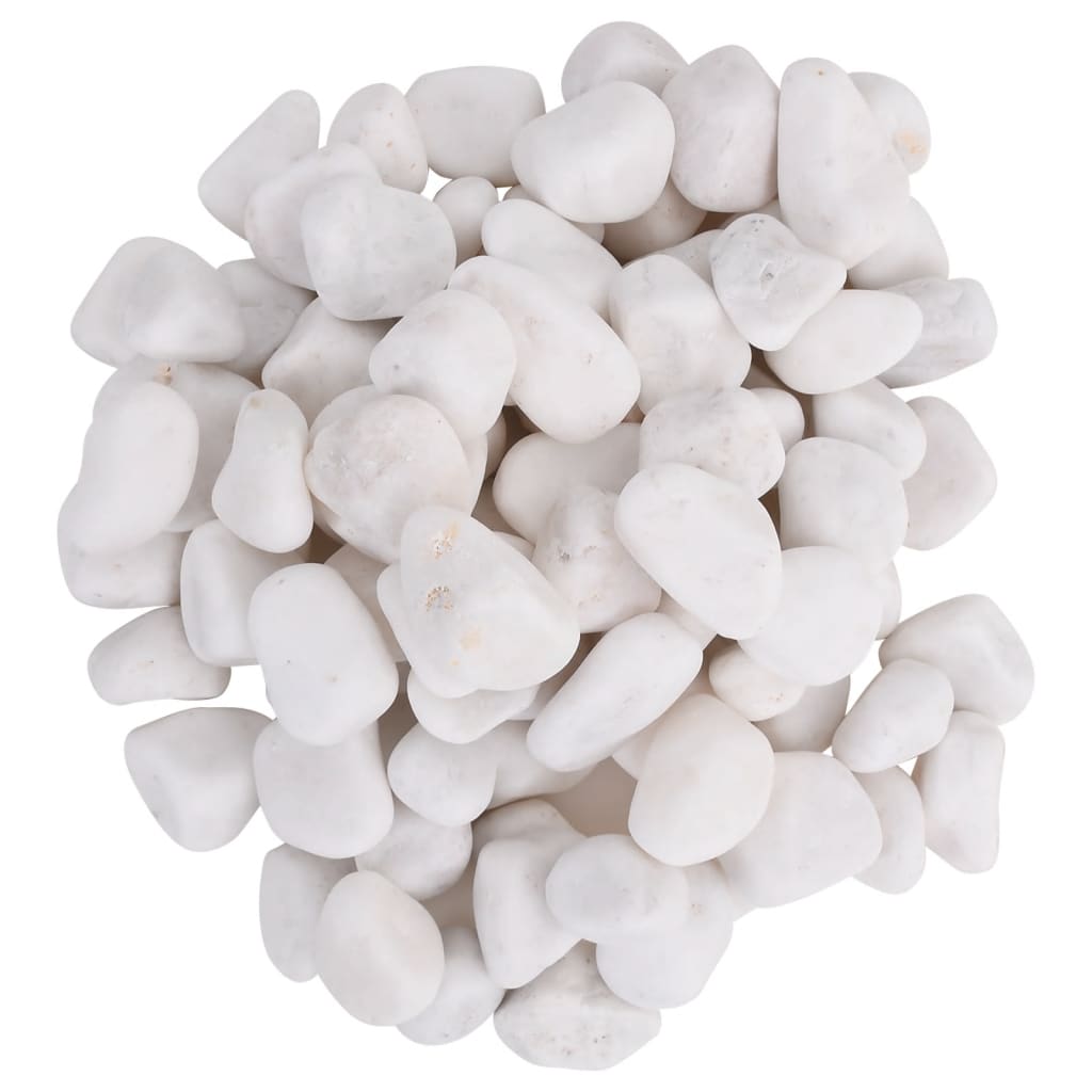 Guijarros vidaxl pulidos 2-5 cm 10 kg blanco