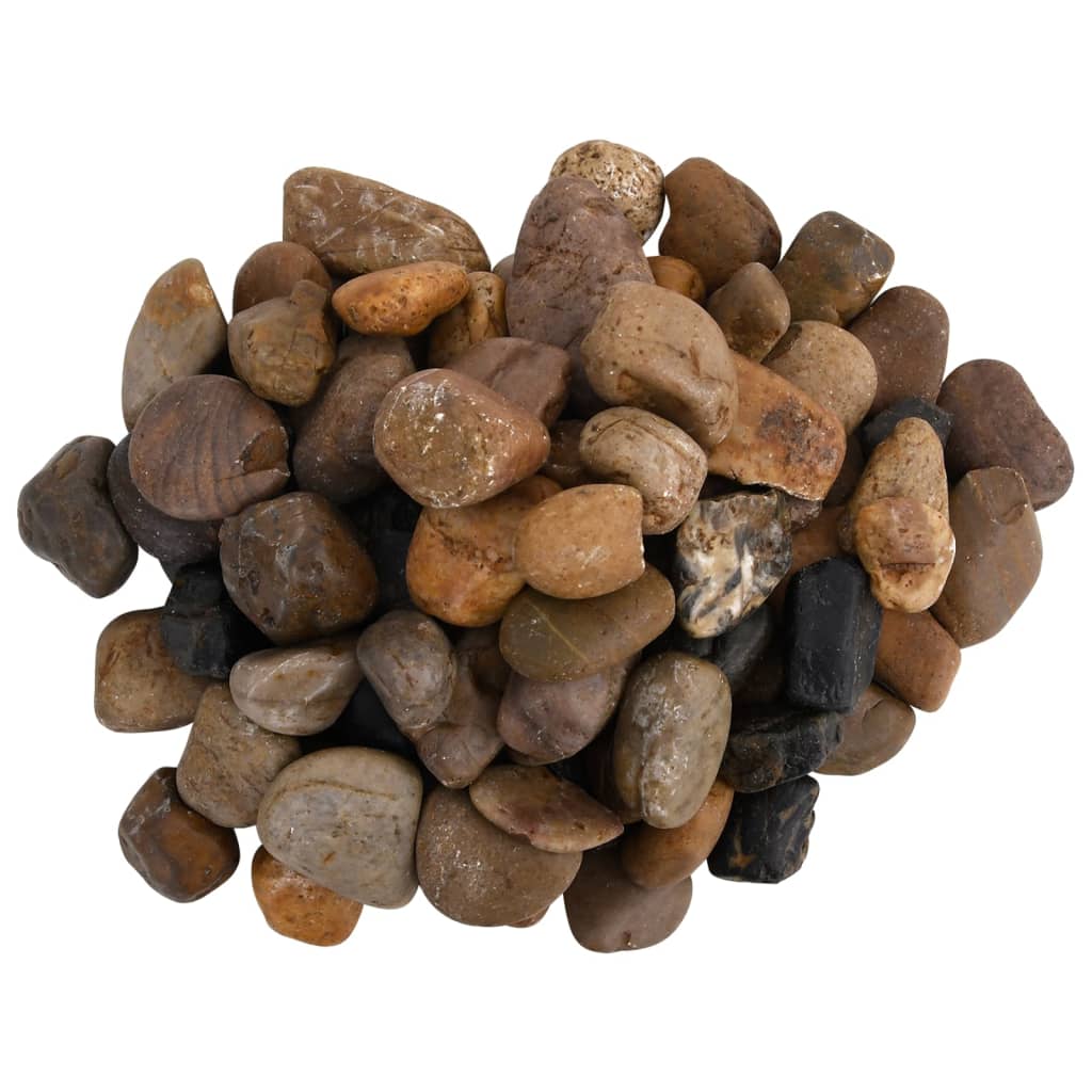 Vidaxl ciottoli lucidi 2-5 cm 25 kg multicolore
