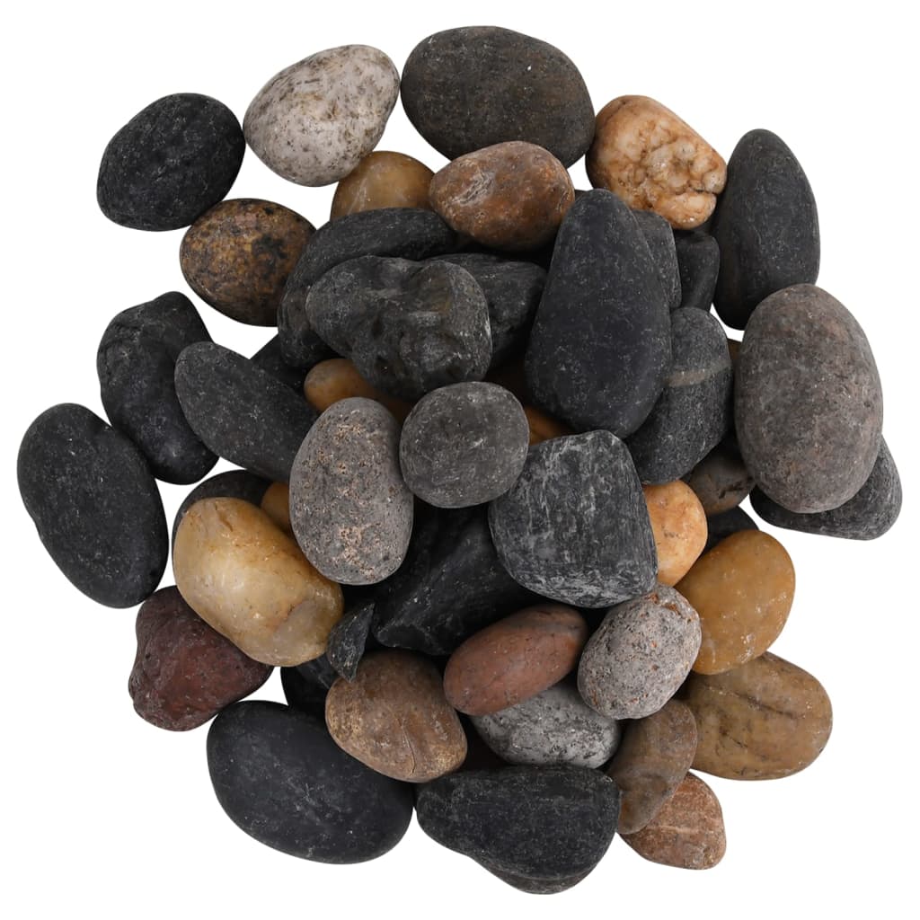 Vidaxl PEBBLES lucidato 5-8 cm 25 kg multicolore