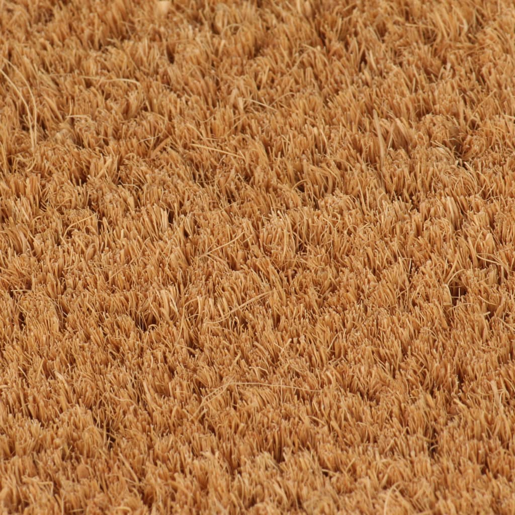 Vidaxl zerbino zerbino a zerbino da 50x80 cm in fibra di cocco naturale