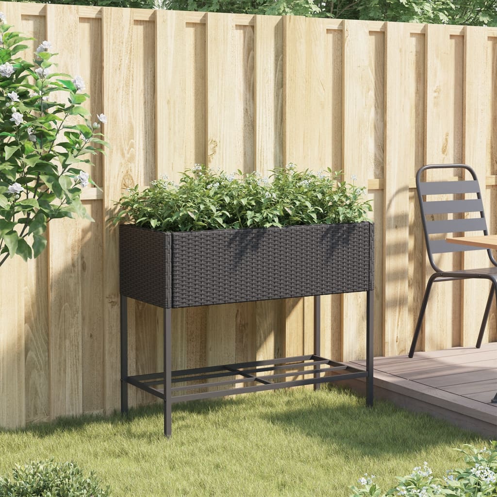 Vidaxl Plannet con Schap Poly Rattan Black