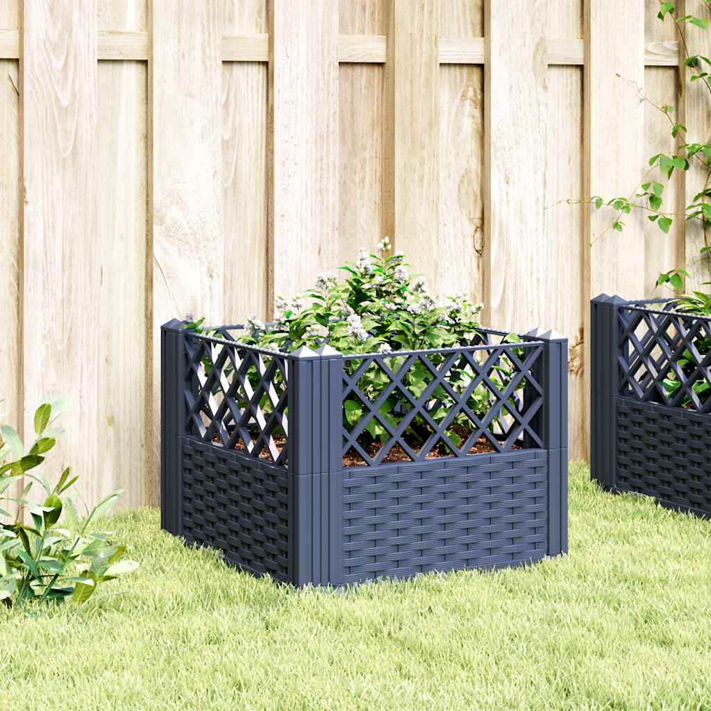 Plantilla Vidaxl con pines 43.5x43.5x43.5 cm Polypropene Gray