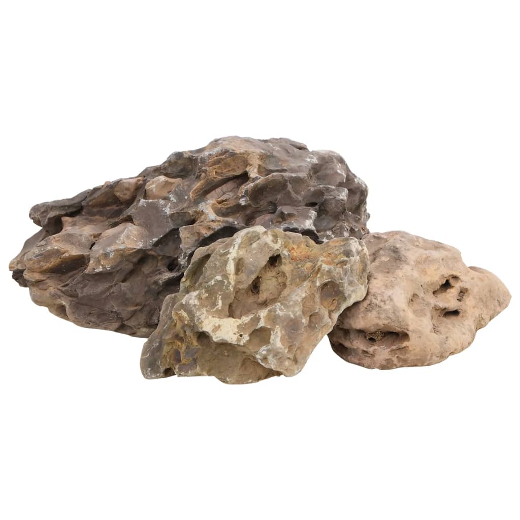 Vidaxl Dragon Stones 25 kg 10-40 cm de gris