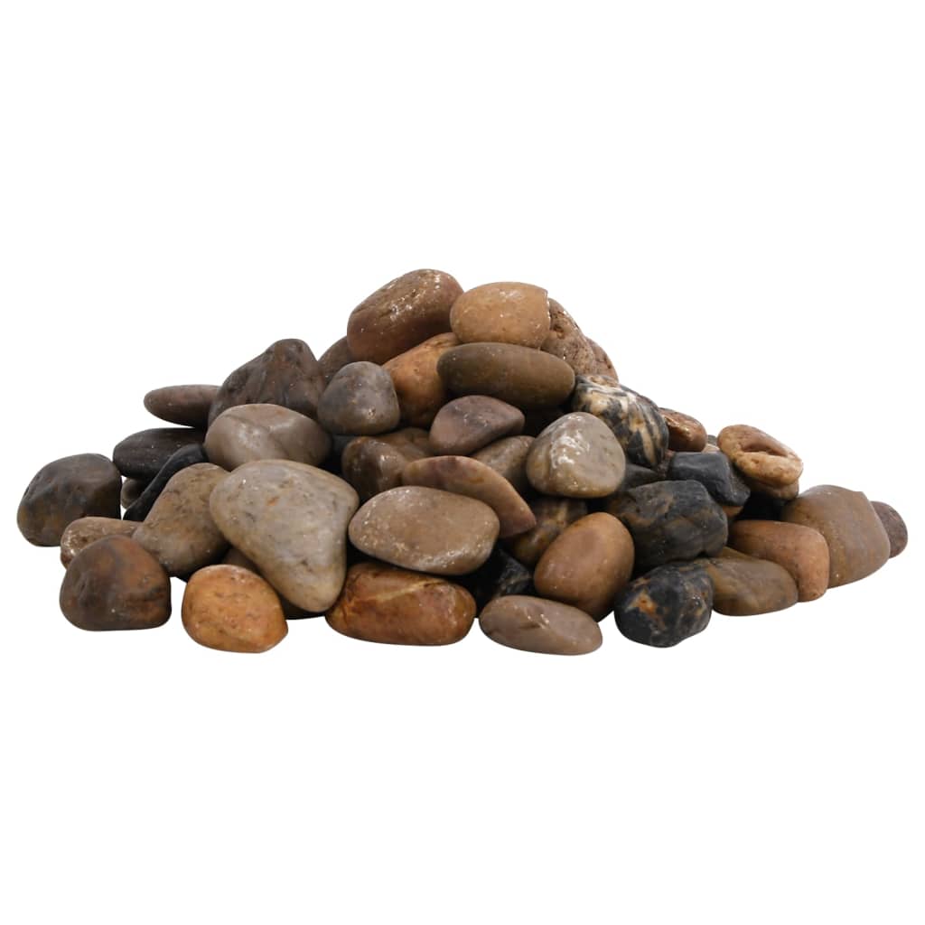 Vidaxl ciottoli lucidi 2-5 cm 10 kg multicolore