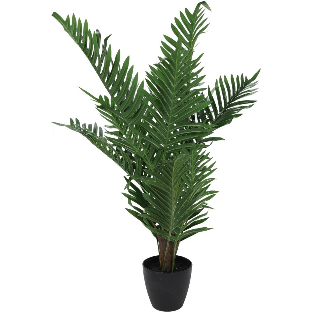 Pianta artificiale palma altre marche 50x85 cm verde