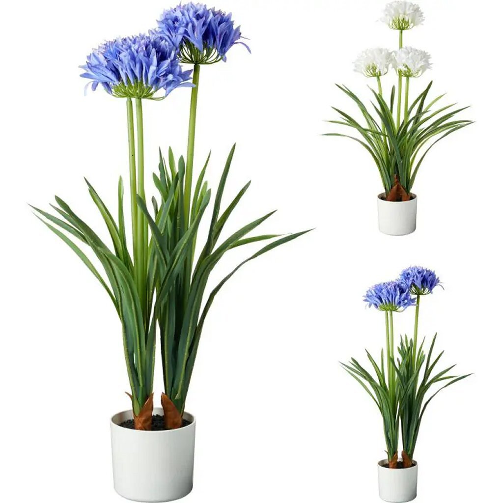 Altre marche pianta artificiale Agapanthus 50x80 cm blu bianco diverse versioni