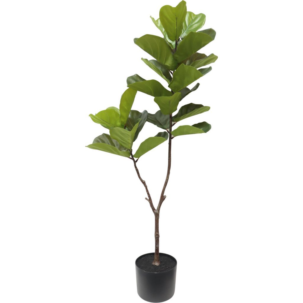Pianta artificiale ficus altre marche 60x155 cm verde