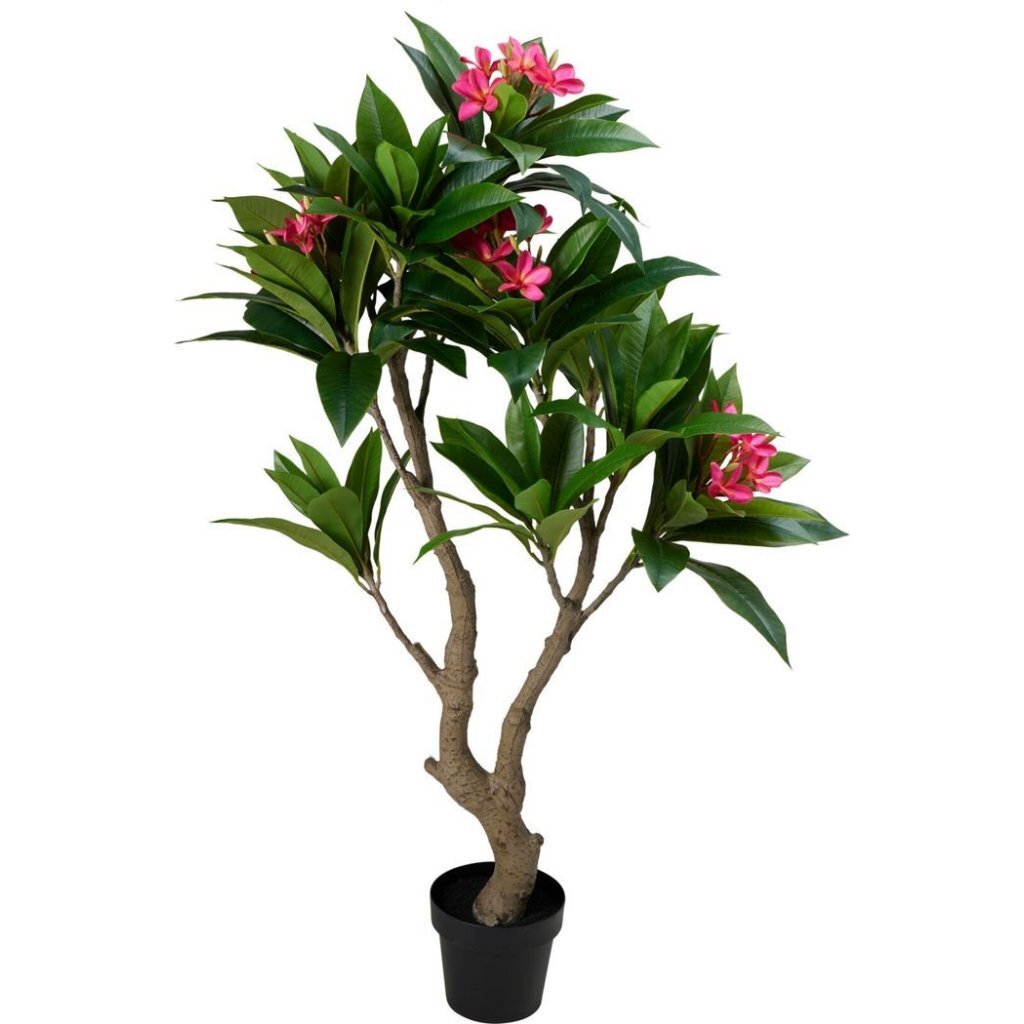 Pianta artificiale plumeria altre marche 75x150 cm rosa verde