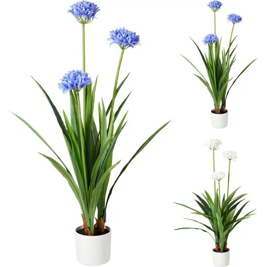 Pianta artificiale Agapanthus altre marche 70x120 cm blu bianco