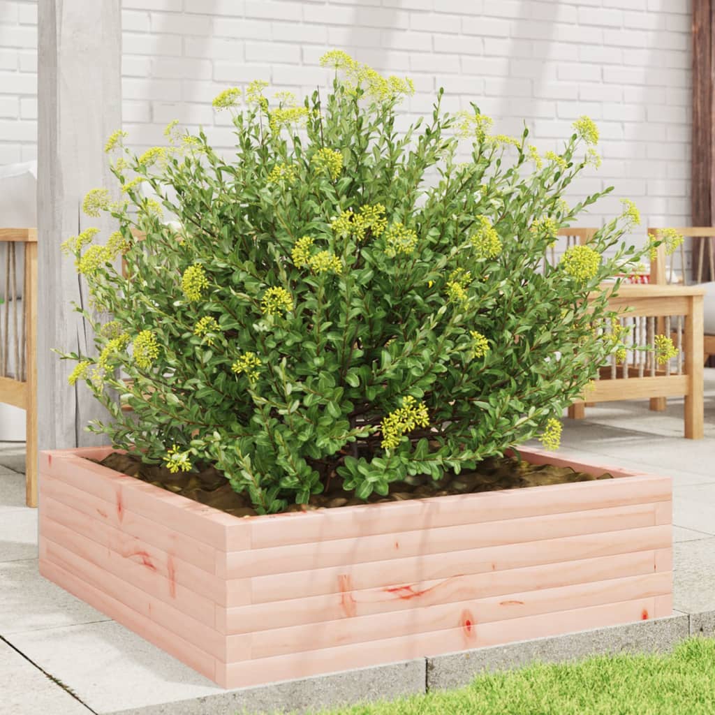 Vidaxl Planning Box 80x80x23 cm Douglhout sólido