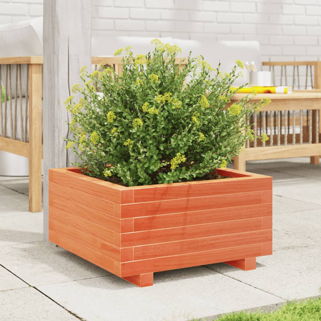 Vidaxl Fiorter 50x50x26.5 cm Basco di pino solido marrone