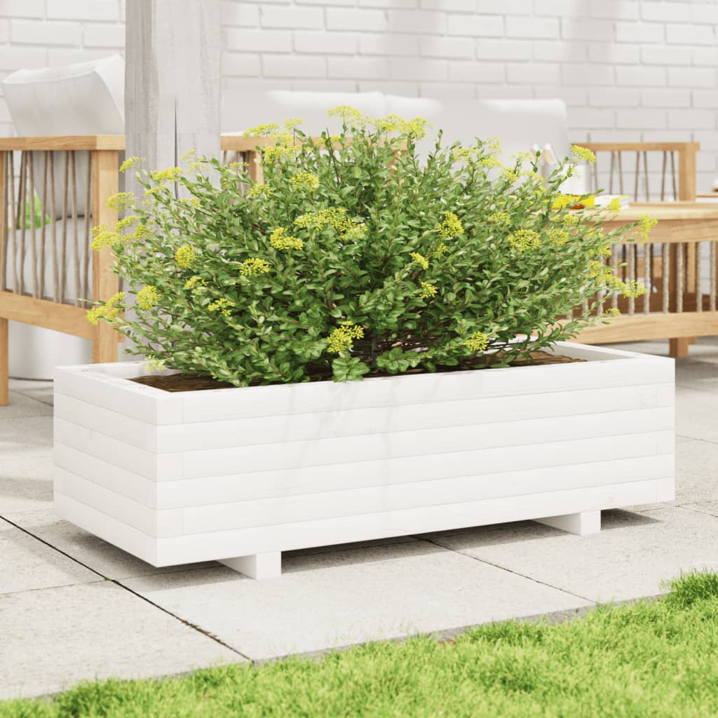 Casella di pianificazione Vidaxl 90x40x26.5 cm Pino solido