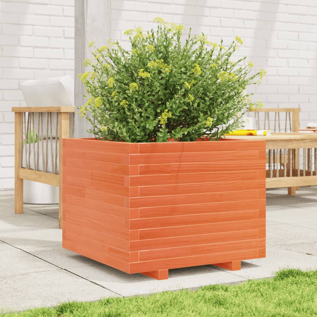 Vidaxl Planning Box 60x60x49.5 cm de pino sólido marrón marrón