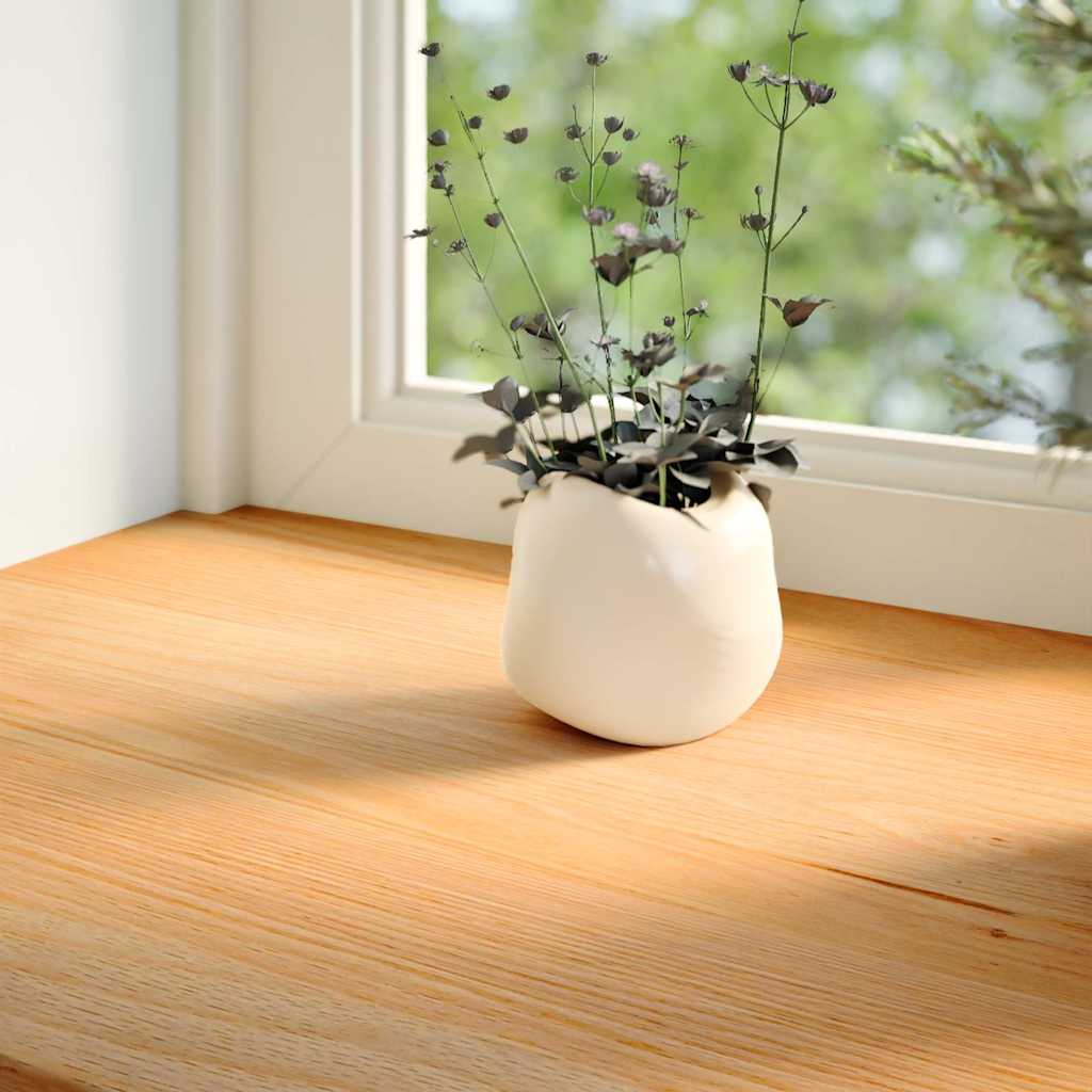 Vidaxl Finestra Solizi 2 PC 100x15x2 cm Oak Solid Light Brown