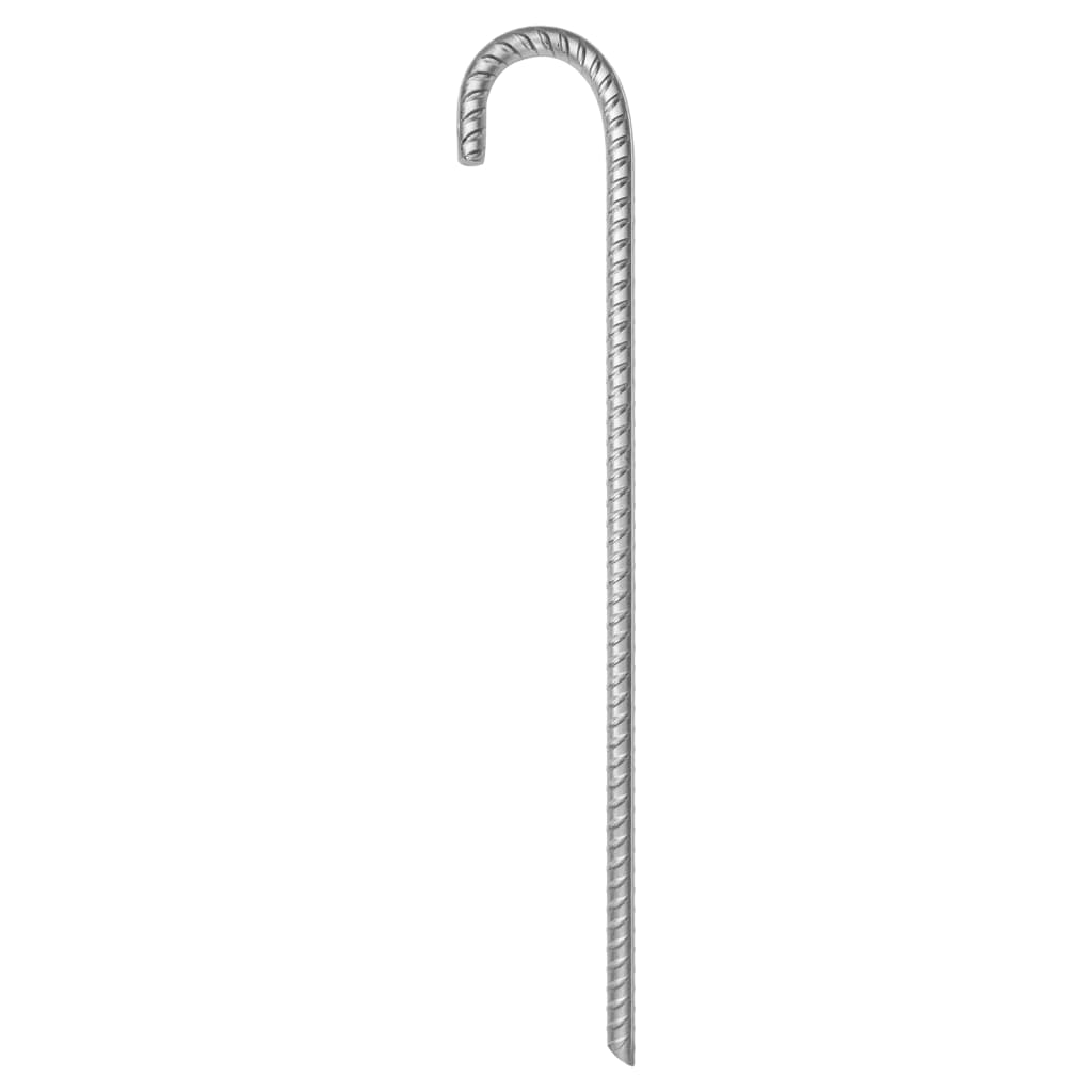 Pegsas de carpa Vidaxl 6 ST Ø12 mm 41.5 cm de acero galvanizado
