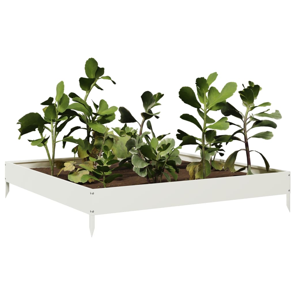 Vidaxl Planning Box elevada 100x100x18.5 cm de acero blanco