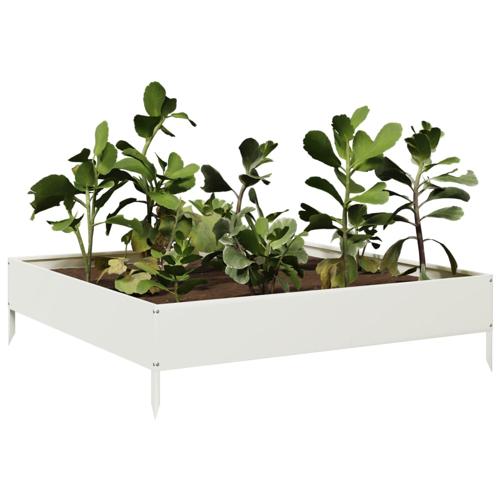 Vidaxl Planter Insertar 100x100x26 cm de acero blanco
