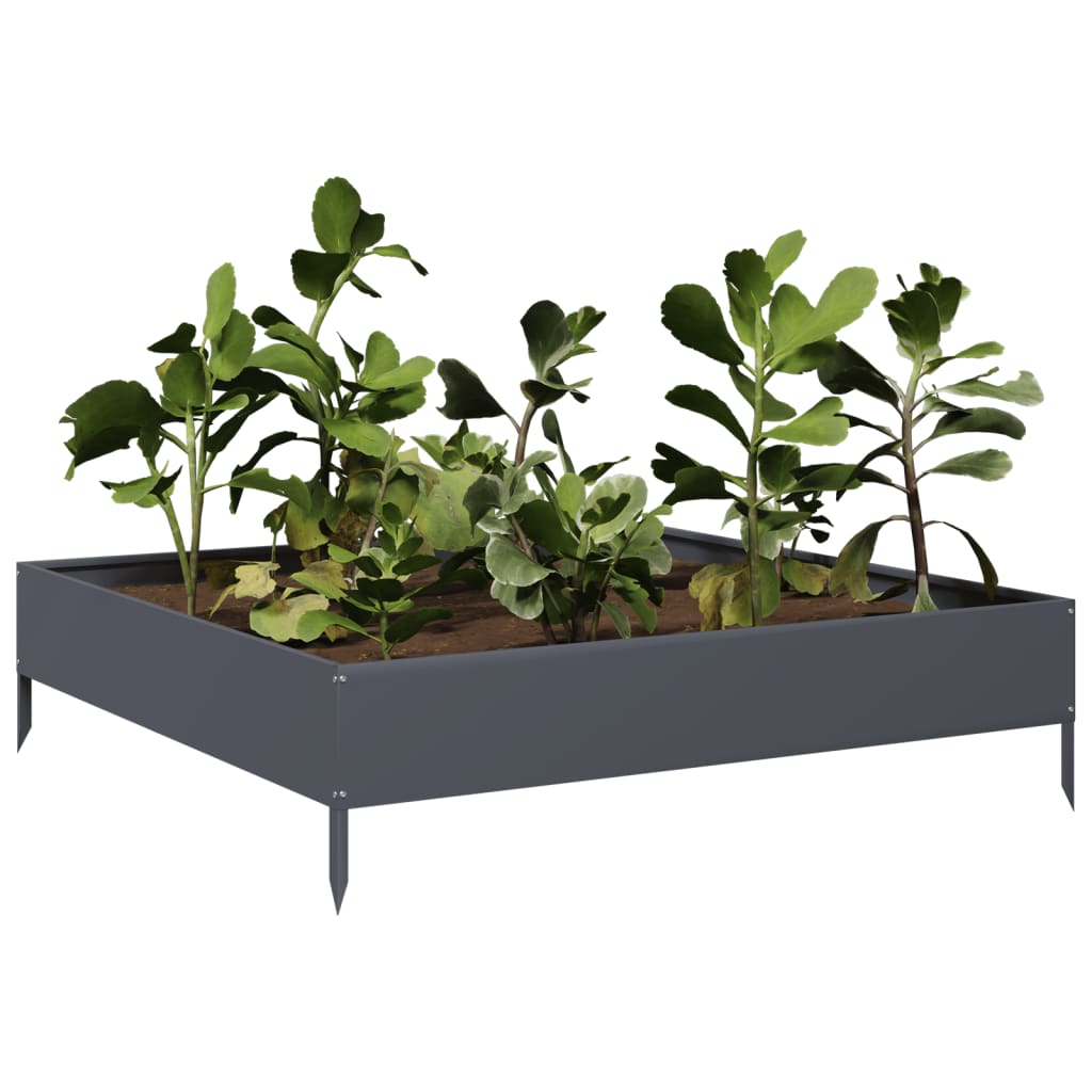 Plantador Vidaxl elevado 100x100x26 cm de acero antracita