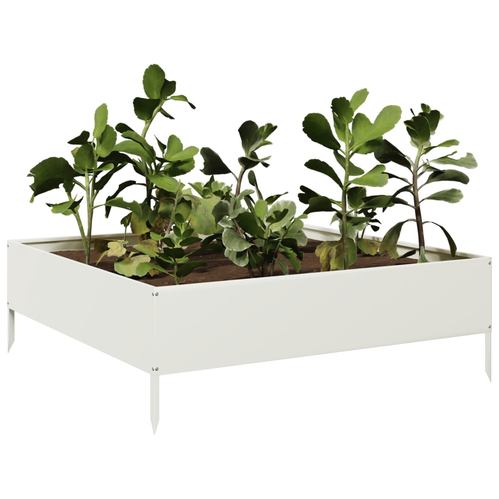 Plantador Vidaxl elevado 100x100x33.5 cm de acero blanco