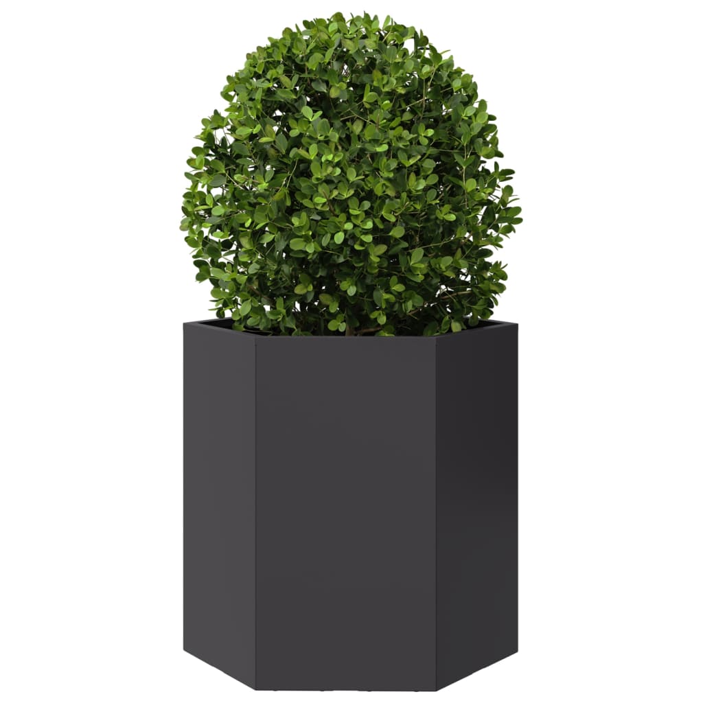 Vidaxl Plannet Hexagon 46x40x45 cm de acero negro