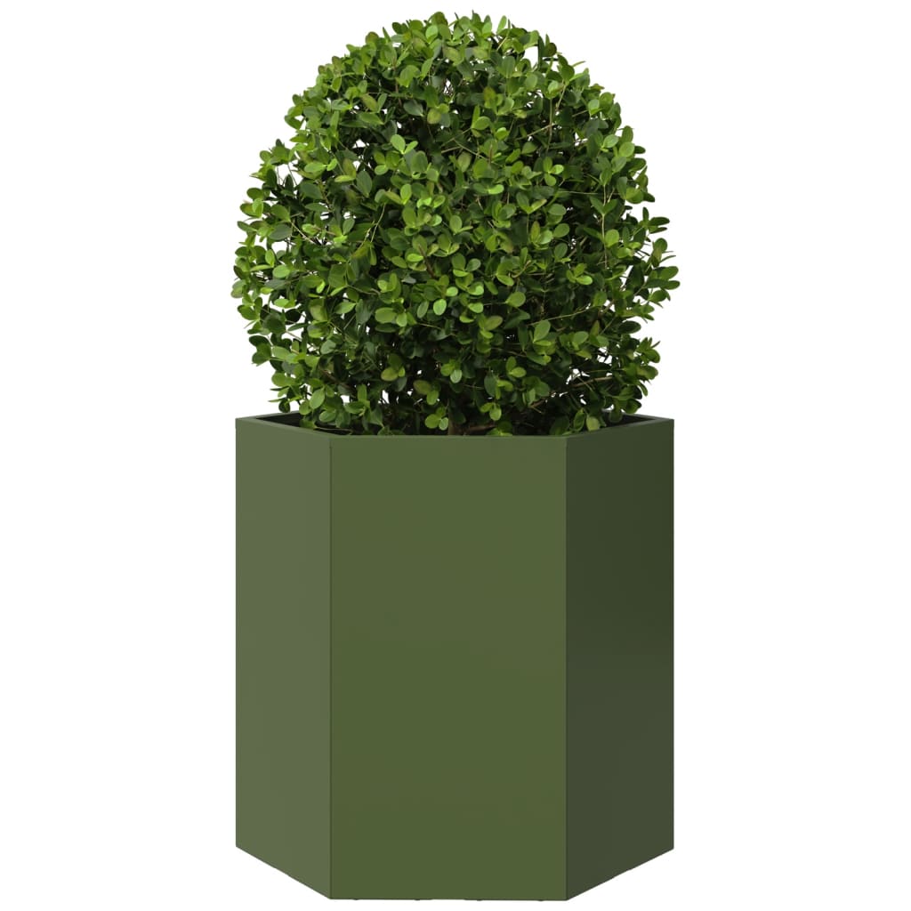 Vidaxl Plannet Hexagon 46x40x45 cm de oliva de acero verde