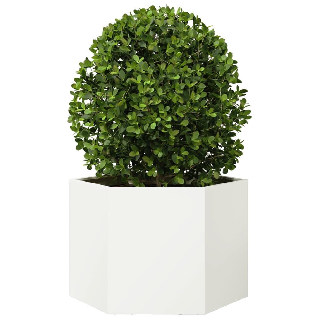 Vidaxl Plannet Hexagon 69x60x45 cm de acero blanco